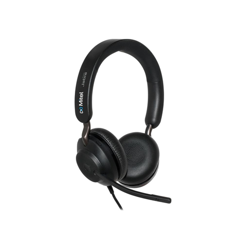 H10 Stereo USB Headset H10 Stereo USB Headset